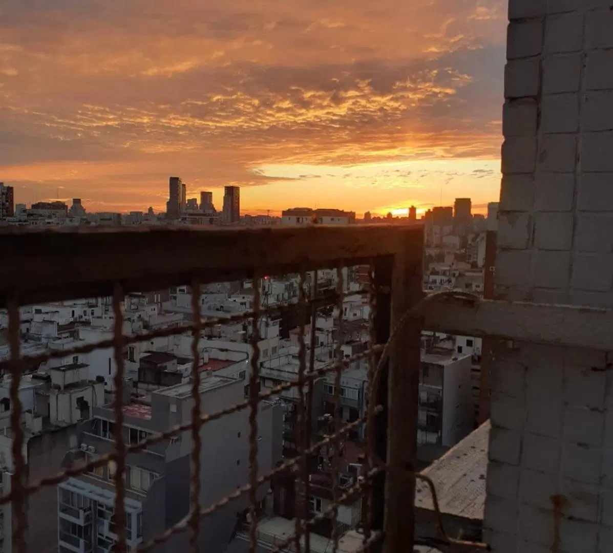 Departamento - Botanico 1