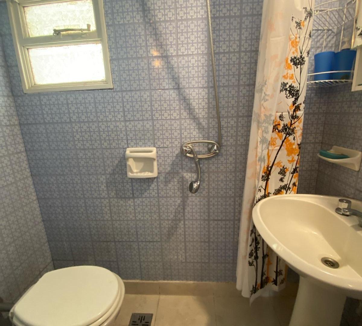 Foto de Departamento - Botanico, imagen 3