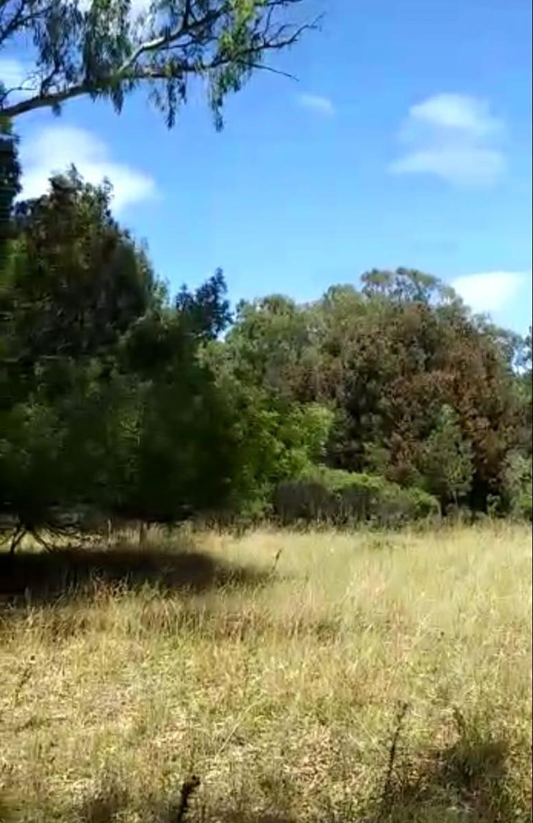 Terreno en Venta - 10 X 33 - Barrio Copacabana - Miramar 4