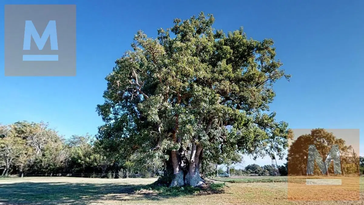 Chacra en venta Ruta 11 5