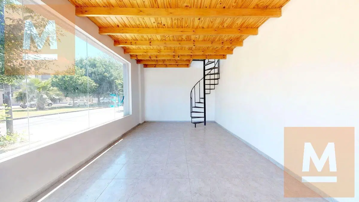 Local - La Plata 2