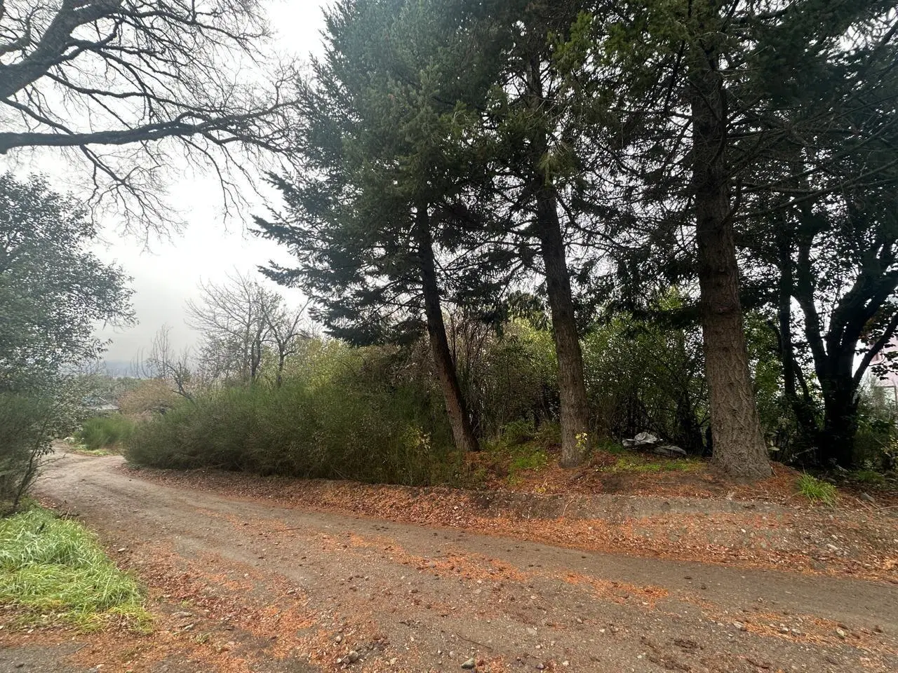 VENTA LOTE ALIHUEN ALTO SAN MARTIN DE LOS ANDES CON PLANOS APROBADOS 4