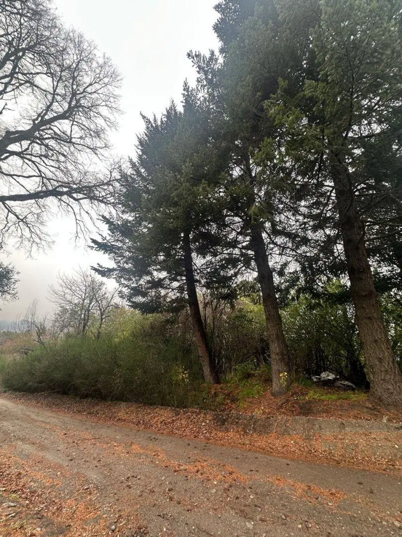 VENTA LOTE ALIHUEN ALTO SAN MARTIN DE LOS ANDES CON PLANOS APROBADOS 3