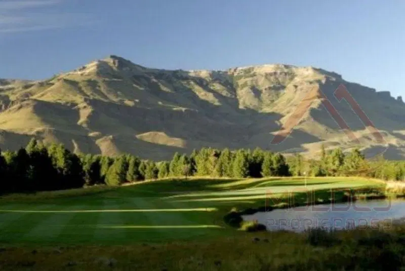 LOTE EN VENTA CHAPELCO GOLF OPORTUNIDAD 2