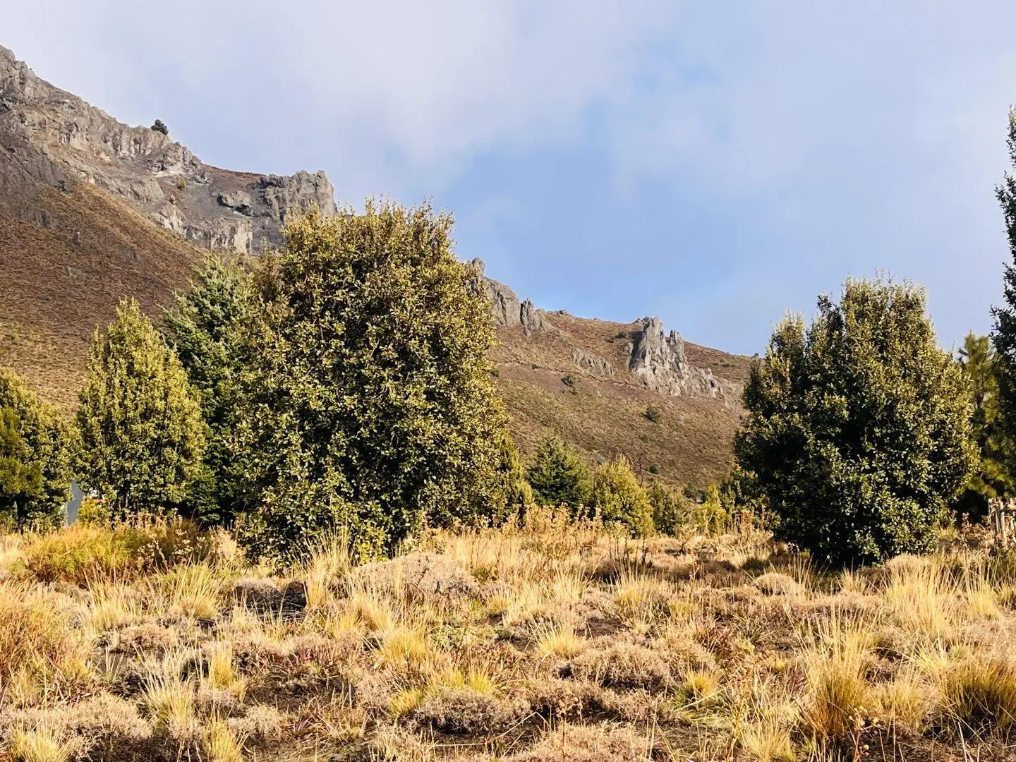 Lote en venta de 600 m2 en San Martín de los Andes, Barrio Pueblo Chapelco. 3