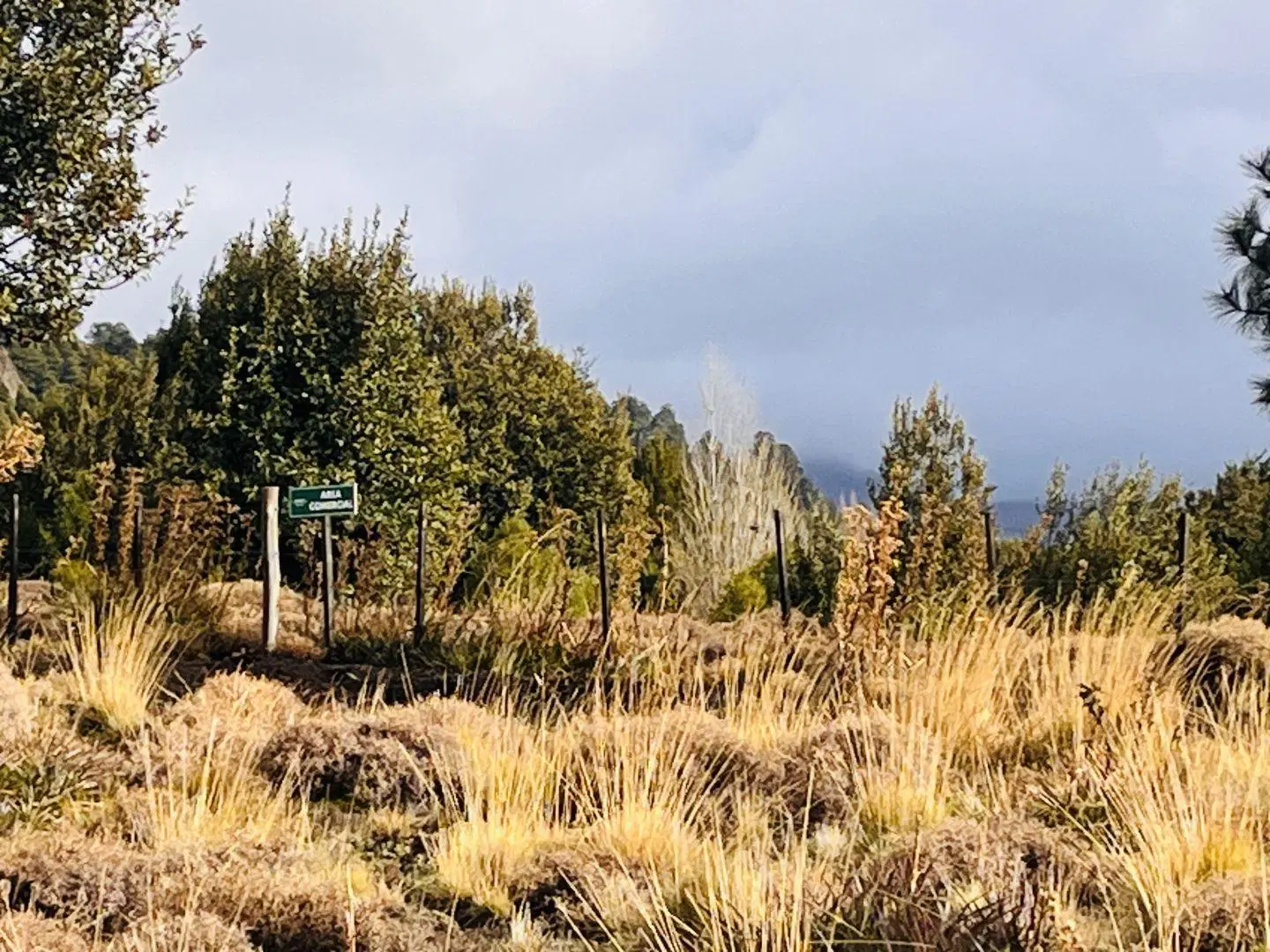 Lote en venta de 600 m2 en San Martín de los Andes, Barrio Pueblo Chapelco. 8