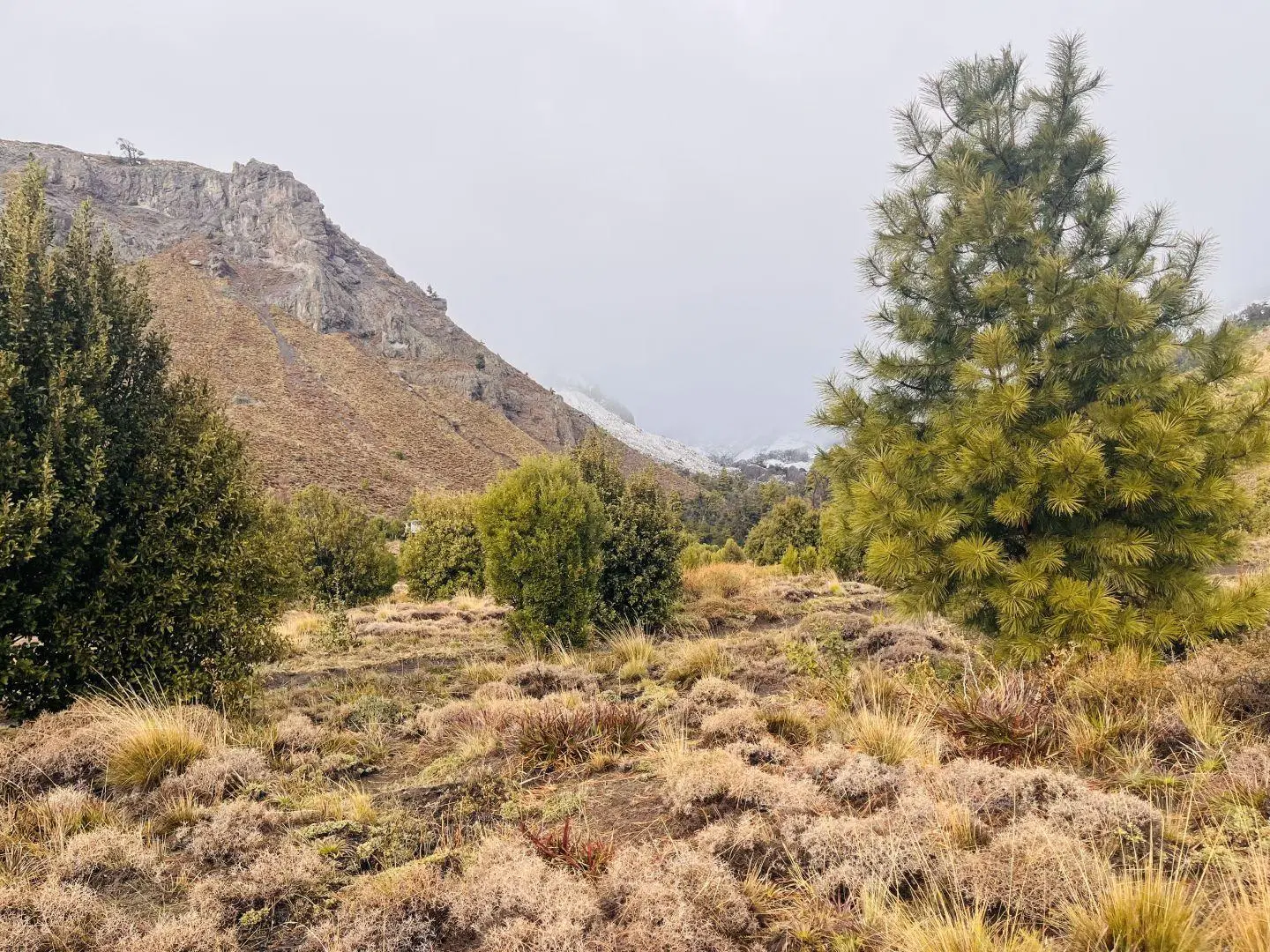 Lote en venta de 600 m2 en San Martín de los Andes, Barrio Pueblo Chapelco. 2