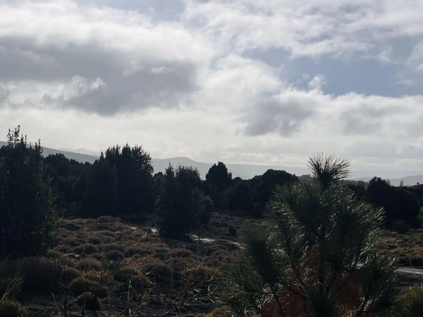Lote en venta de 600 m2 en San Martín de los Andes, Barrio Pueblo Chapelco. 4