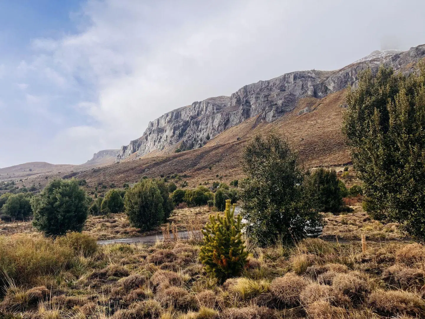 Lote en venta de 600 m2 en San Martín de los Andes, Barrio Pueblo Chapelco. 5