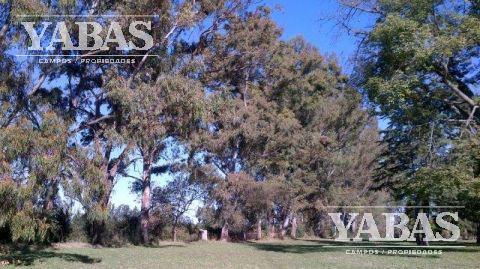Foto de VENTA - CAMPO - 3 HECTAREAS - San Pedro (Bs.As), imagen 2