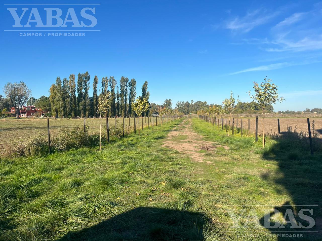 Foto de Campo agrícola en venta – 24 hectáreas – Ruta Nacional N.º 8, imagen 3