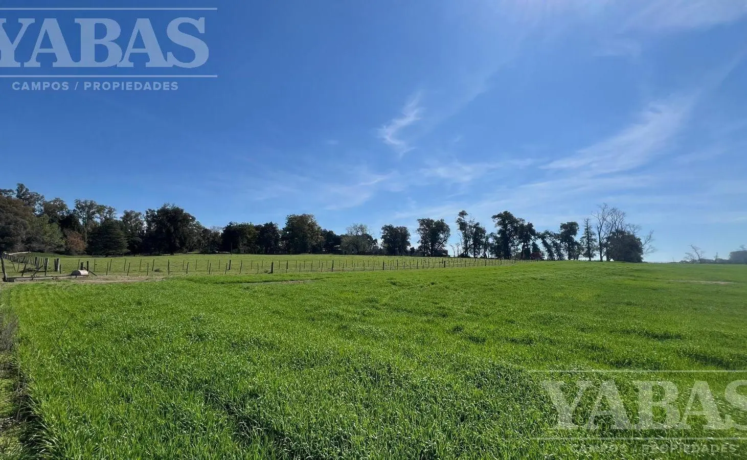 VENTA DE CAMPO – 200 HECTÁREAS – PARTIDO DE BARADERO, RUTA NACIONAL Y AUTOPISTA N.º 9, 5
