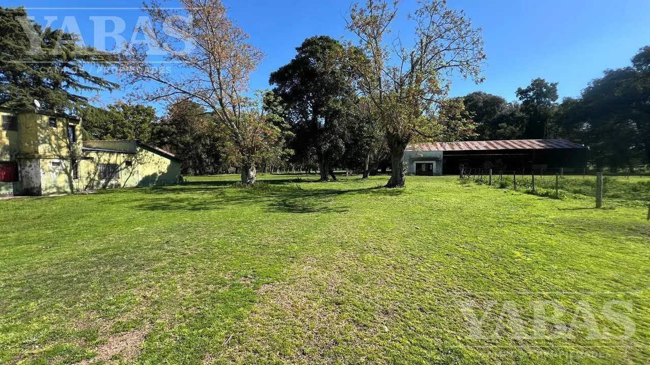 VENTA DE CAMPO – 200 HECTÁREAS – PARTIDO DE BARADERO, RUTA NACIONAL Y AUTOPISTA N.º 9, 2