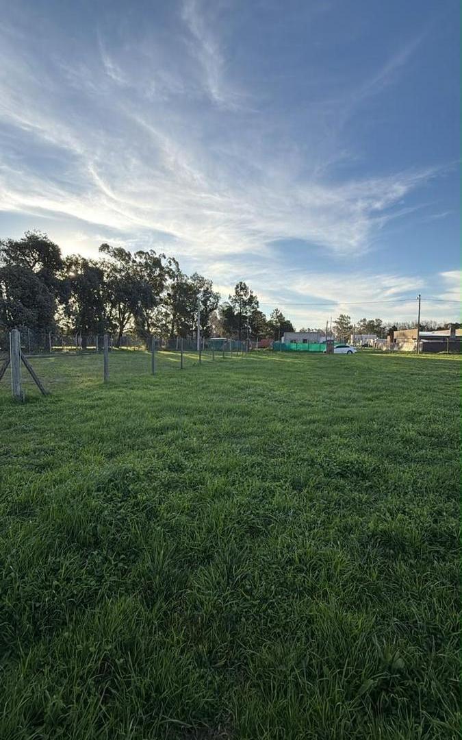 Foto de Terreno NUEVA ZELAYA 2, imagen 2