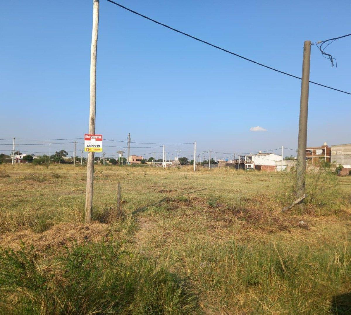 Últimos Lotes Zona Terminal! 3