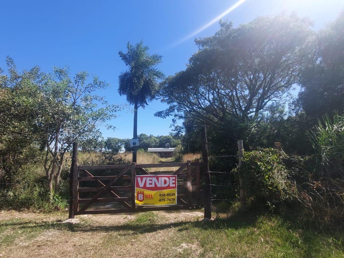Naturaleza y Paz en Santa Ana 1