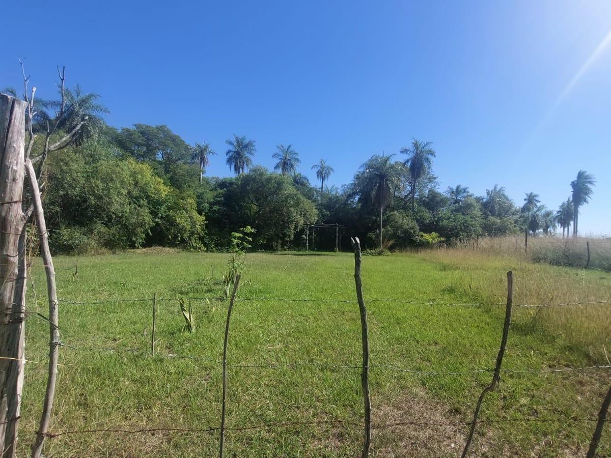Naturaleza y Paz en Santa Ana 5