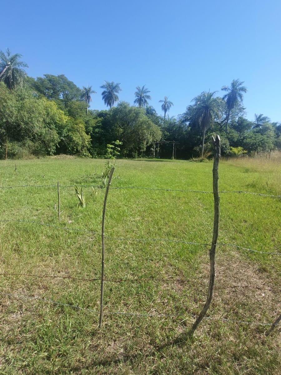 Naturaleza y Paz en Santa Ana 4
