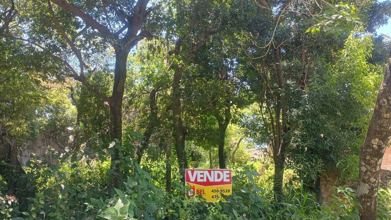 Foto de Gran terreno arbolado en Villa Fabiana cercano a autovía!, imagen 1