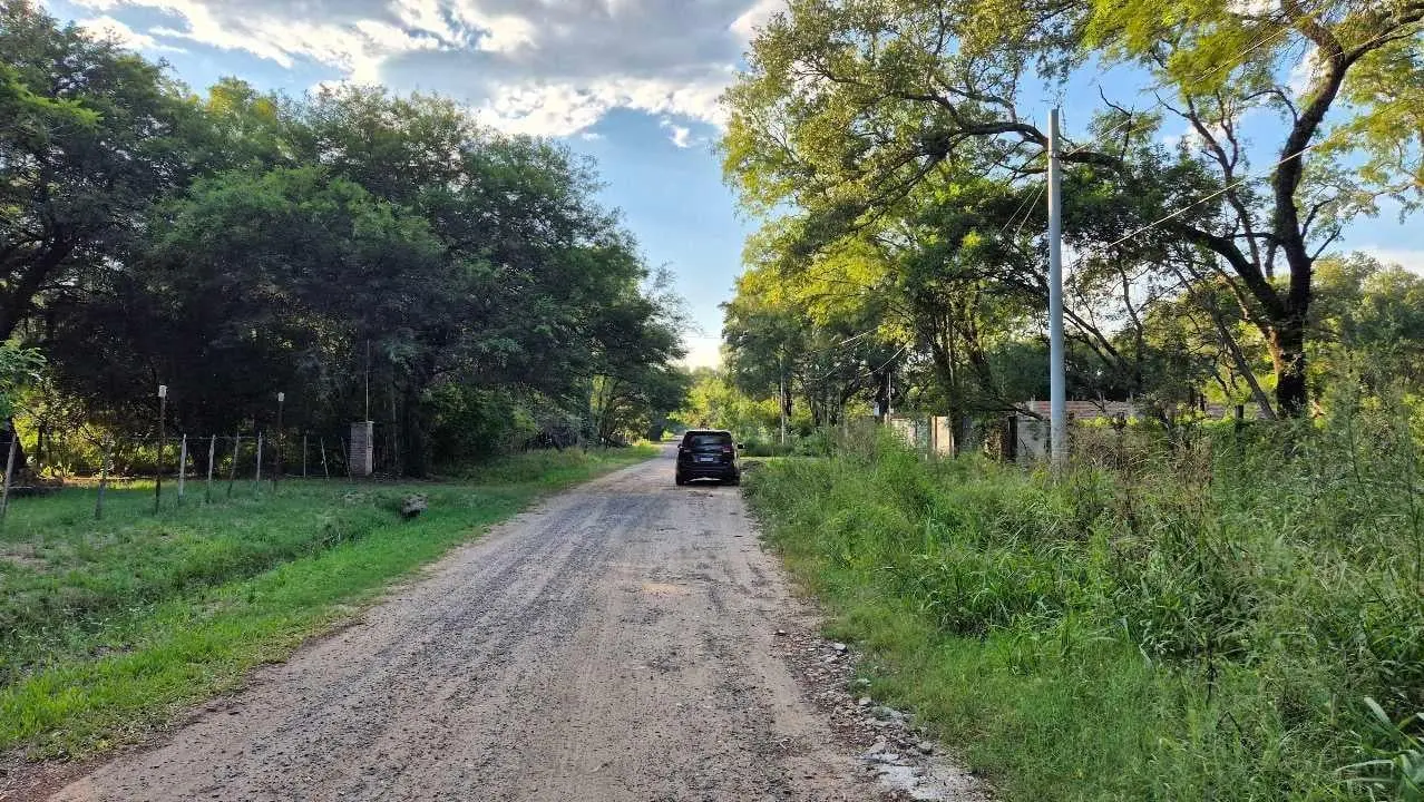 Terreno arbolado en Villa Fabiana, donde los árboles se abrazan 5