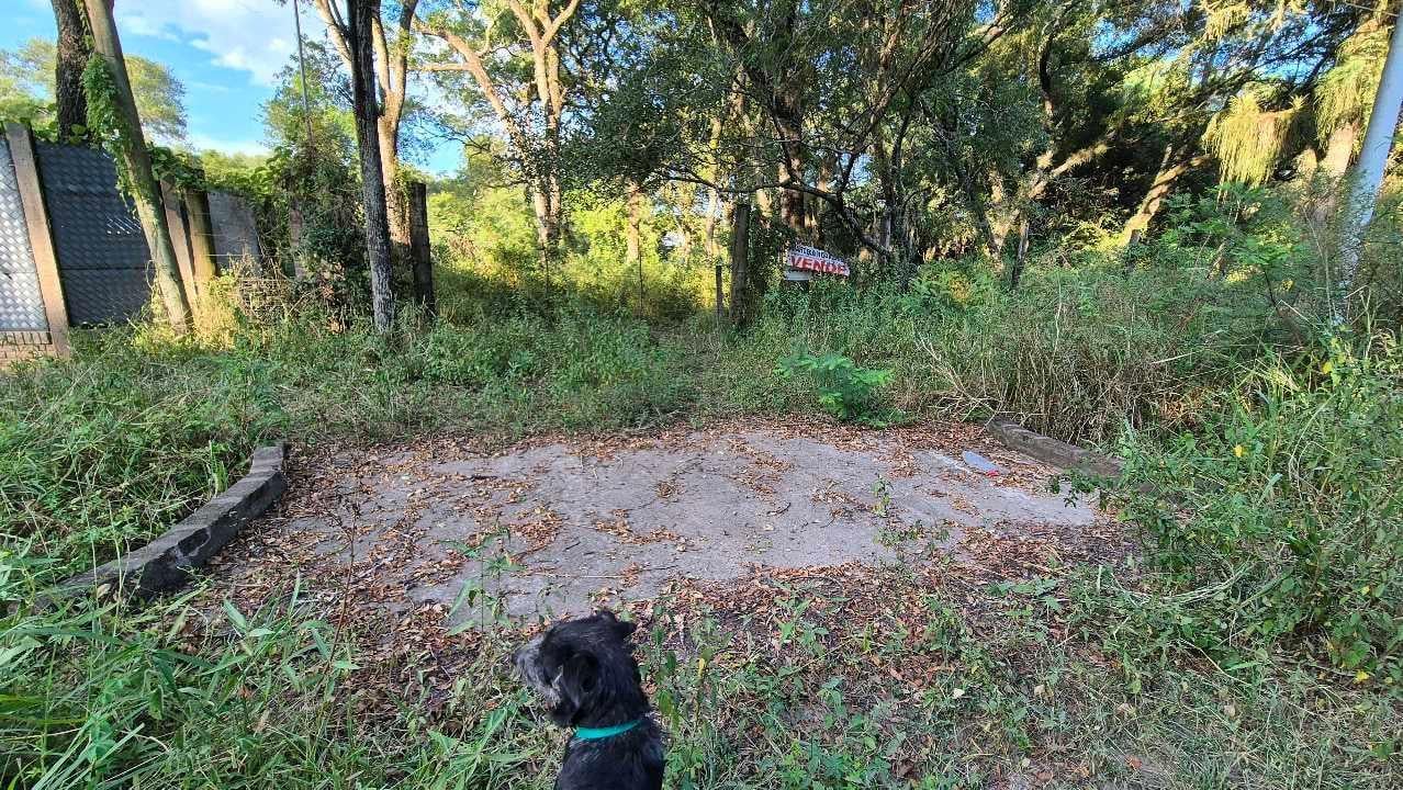 Foto de Terreno arbolado en Villa Fabiana, donde los árboles se abrazan, imagen 3