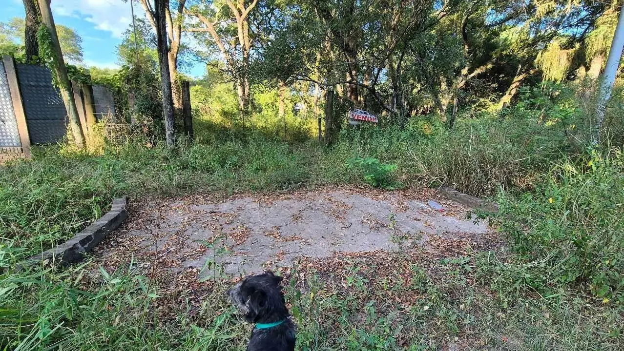 Terreno arbolado en Villa Fabiana, donde los árboles se abrazan 3