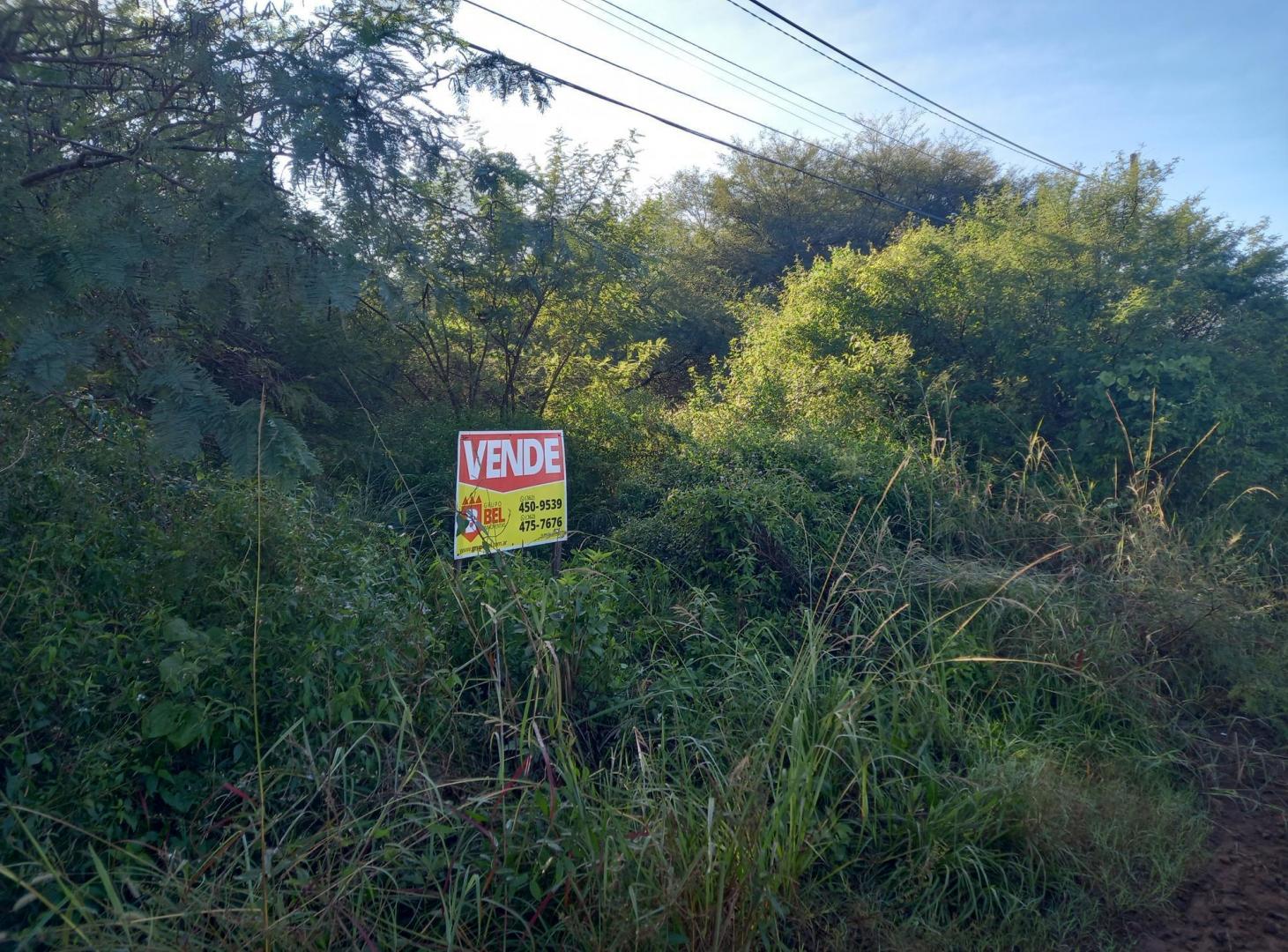 Foto de Terreno sobre principal Morgan, B° Caraguatá, imagen 1