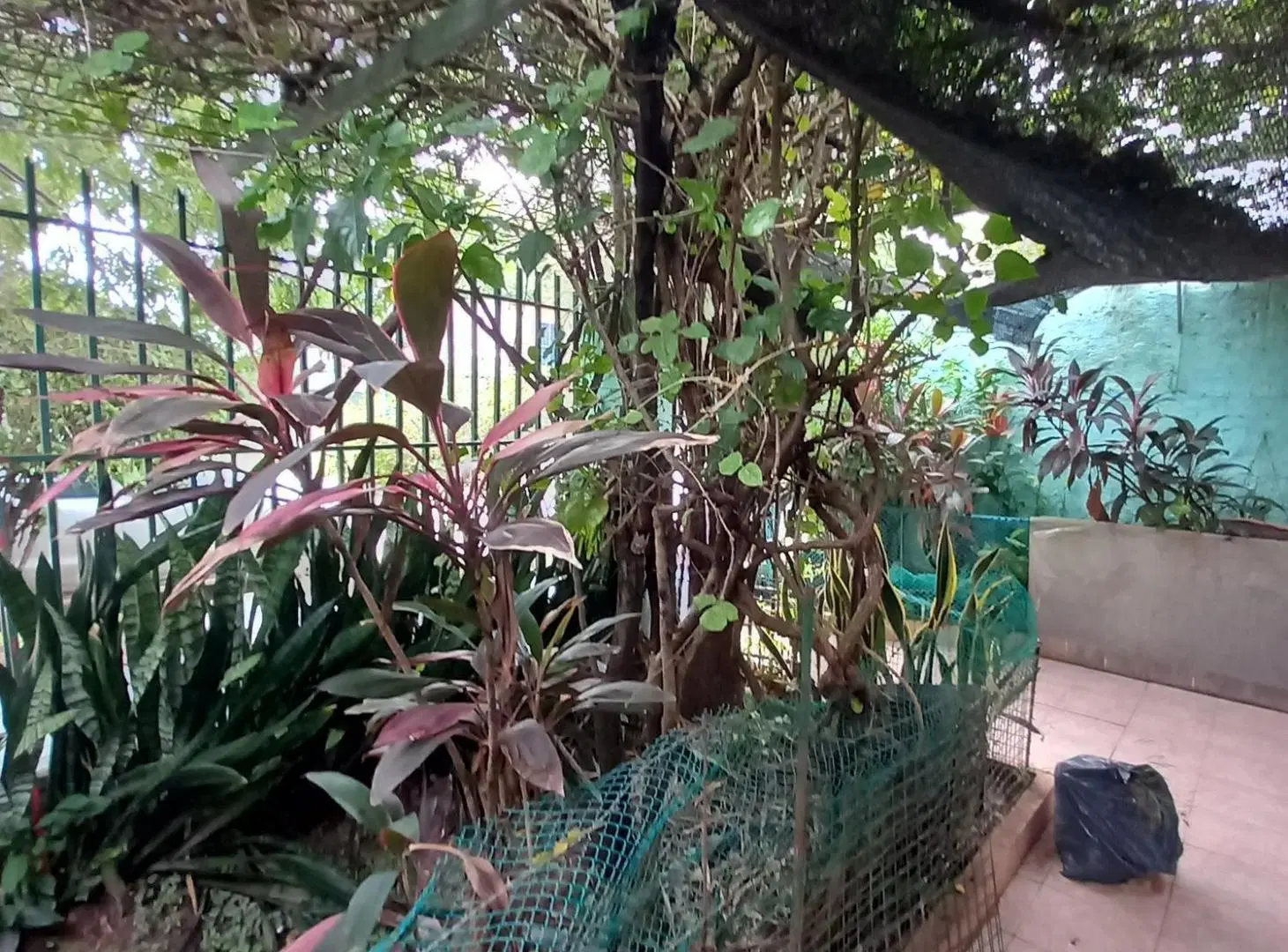 Oportunidad! Casa sobre asfalto cercana al DOMO DEL CENTENARIO! 4