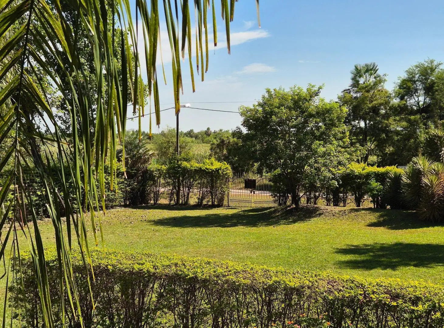 Parque y Naturaleza en esquina en Villa Monte Alto! 3