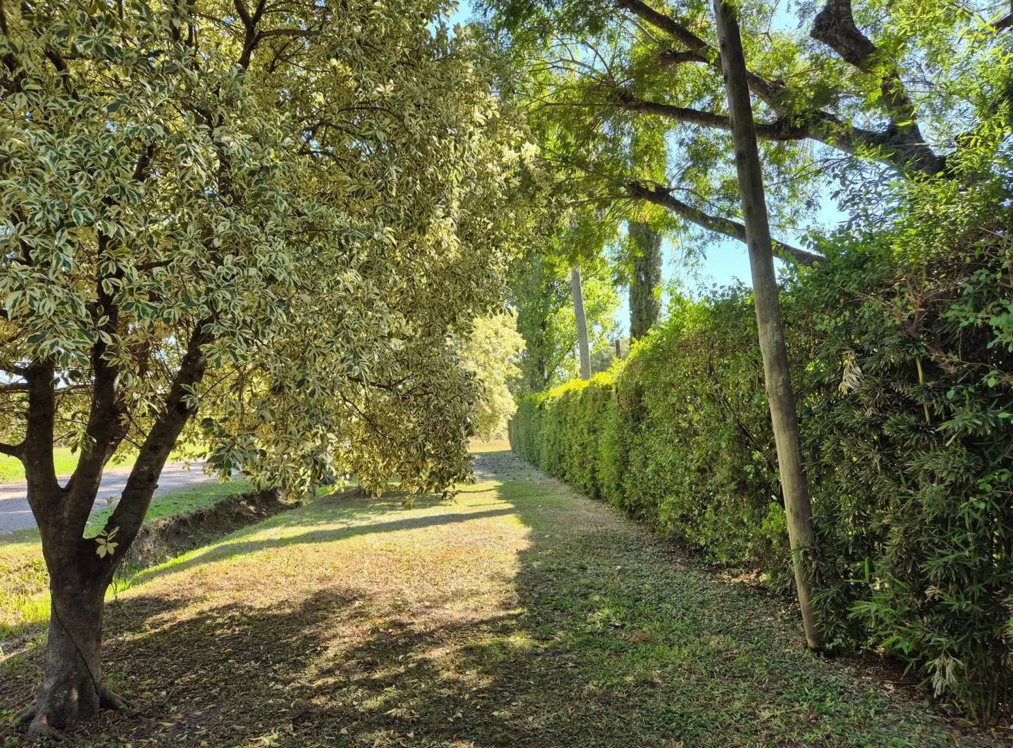 Parque y Naturaleza en esquina en Villa Monte Alto! 5