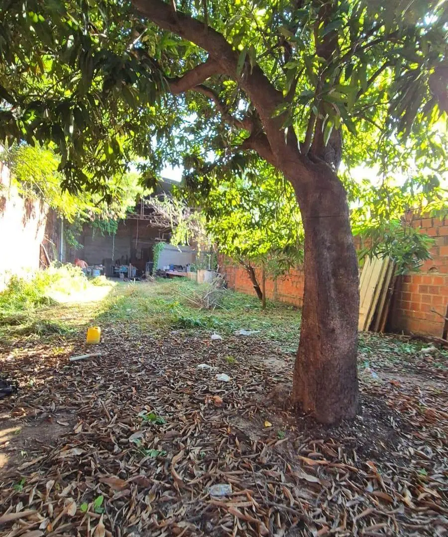El Sargento de Villa San Martin, 10x50 con Tinglado 2