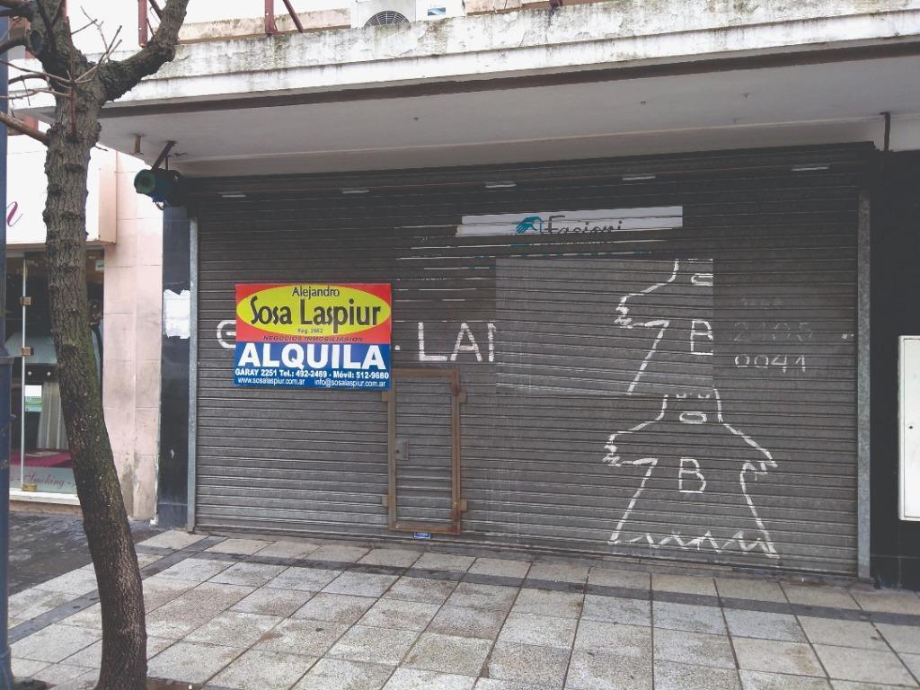 Foto de Local comercial en Venta en Mar Del Plata, imagen 5