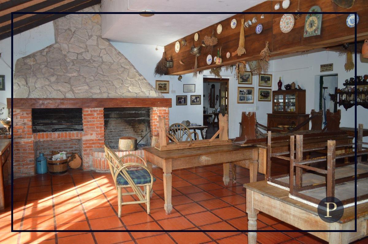Venta Campo 87 Hectáreas 4