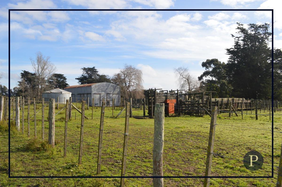 Venta Campo 87 Hectáreas 1