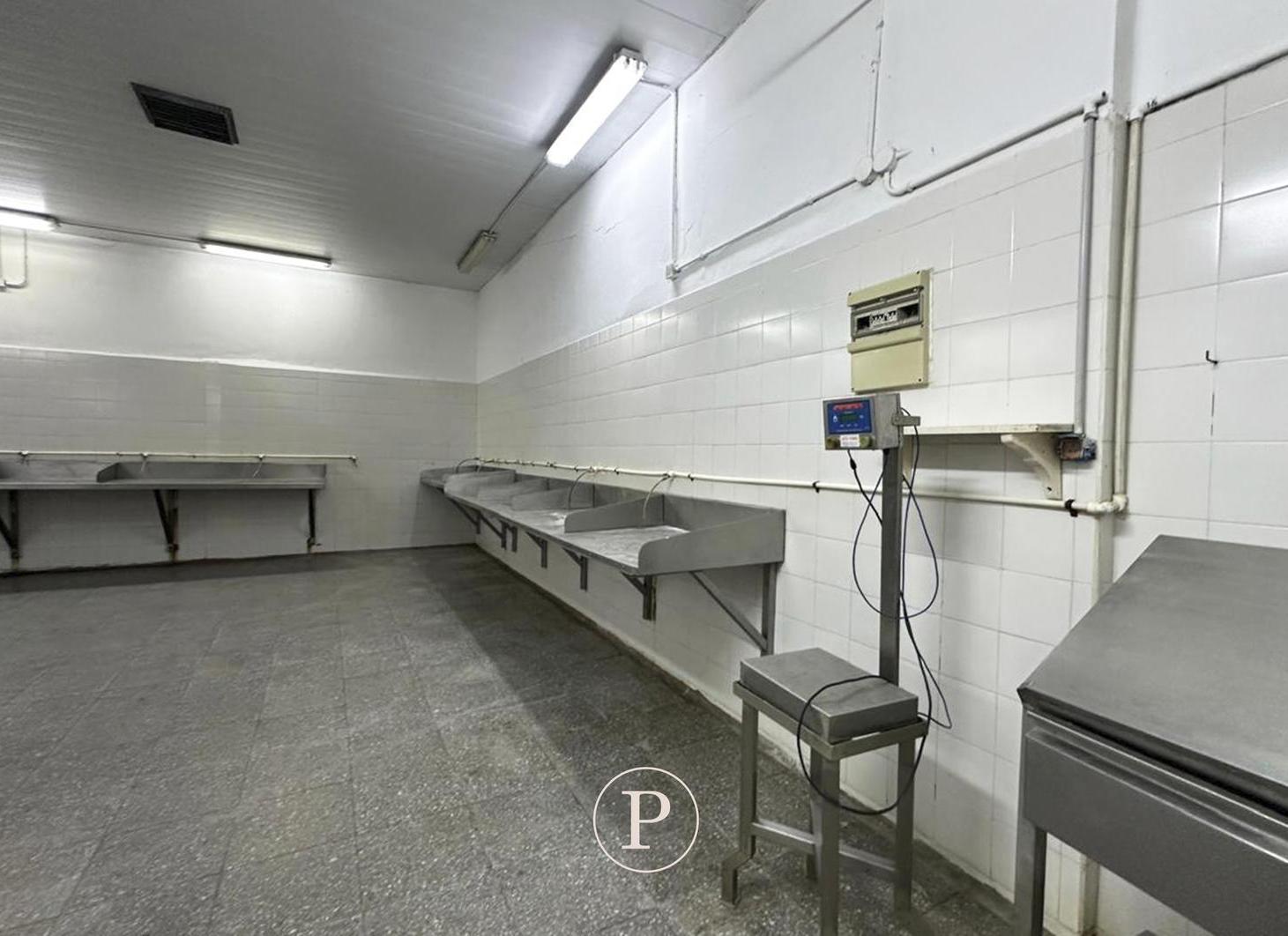 Foto de Fábrica de Fileteado de Pescado en Venta Zona Puerto, imagen 3