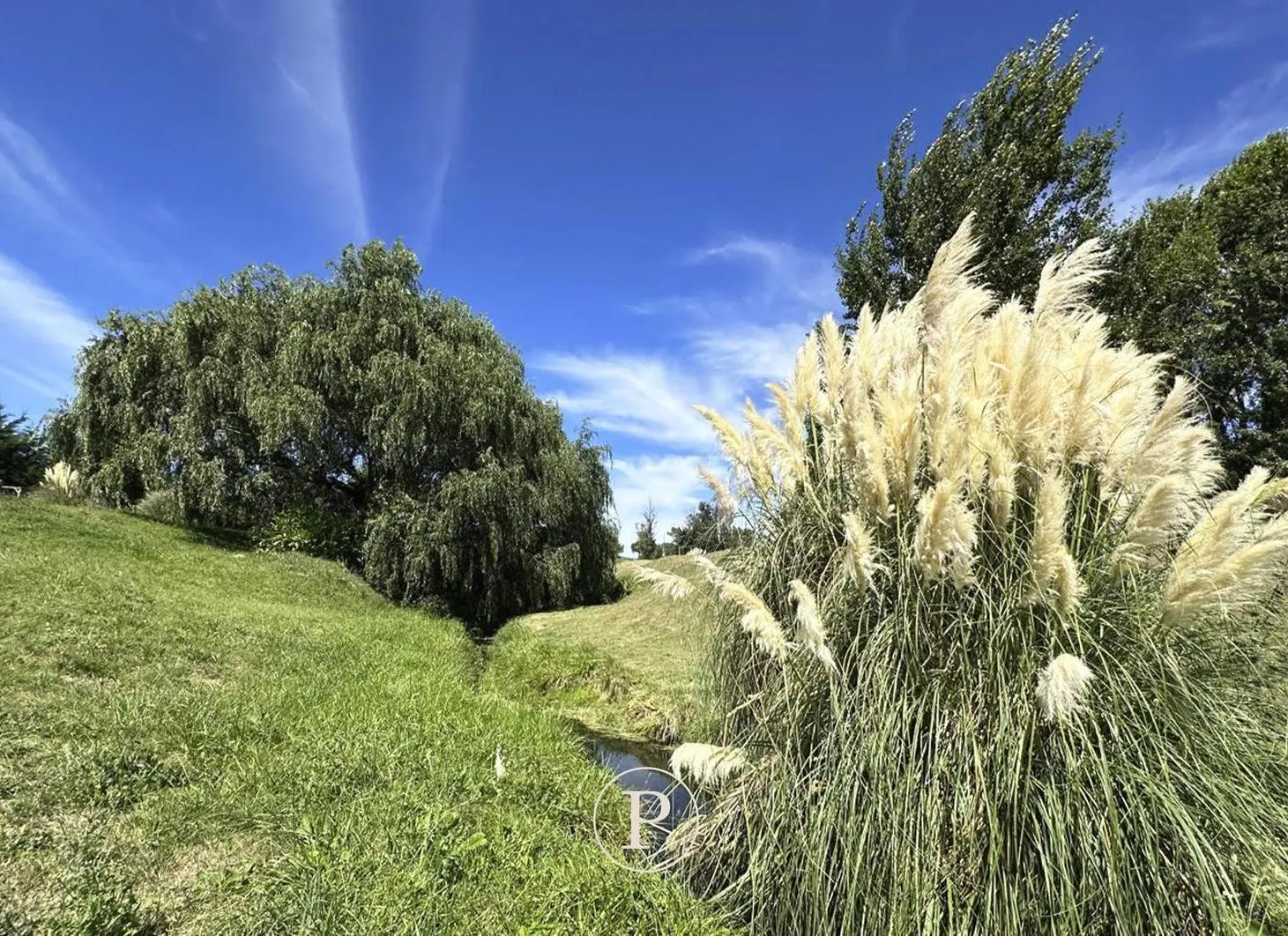 Venta lote con Vista al Bosque y Arroyo en Barrancas de San Benito 5