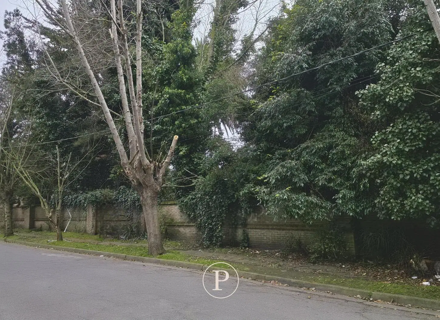 Venta Terreno en Los Troncos con financiamiento 3