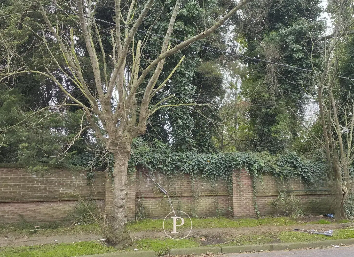 Venta Terreno en Los Troncos con financiamiento 5