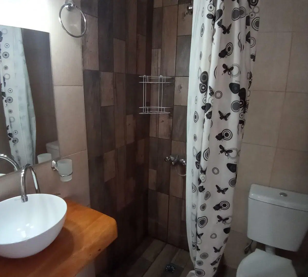 alquiler monoambiente zona shopping Aldrey 2