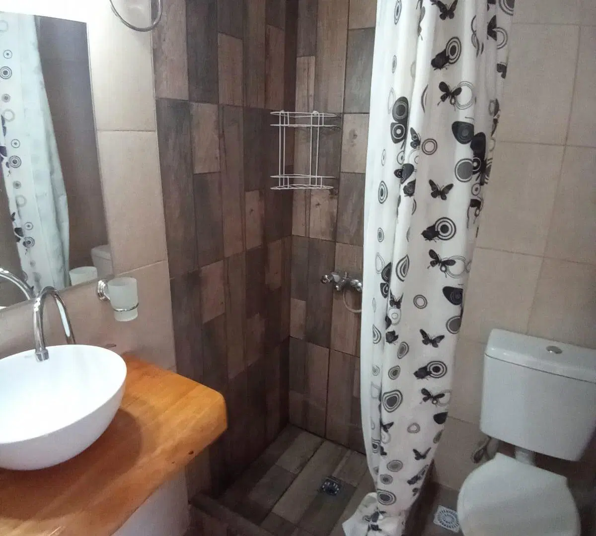 alquiler monoambiente zona shopping Aldrey 5