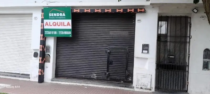 Local comercial en Alquiler en Mar Del Plata 4
