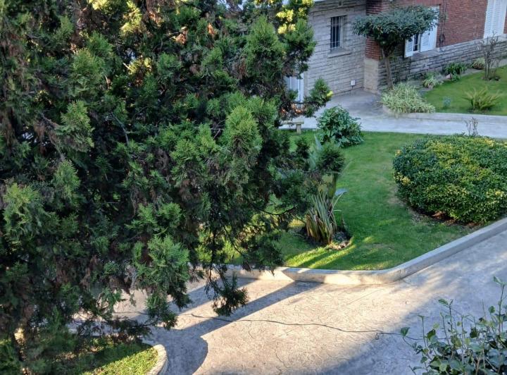 ALQUILER MONOAMBIENTE 12 MESES — ZONA PASEO ALDREY 3