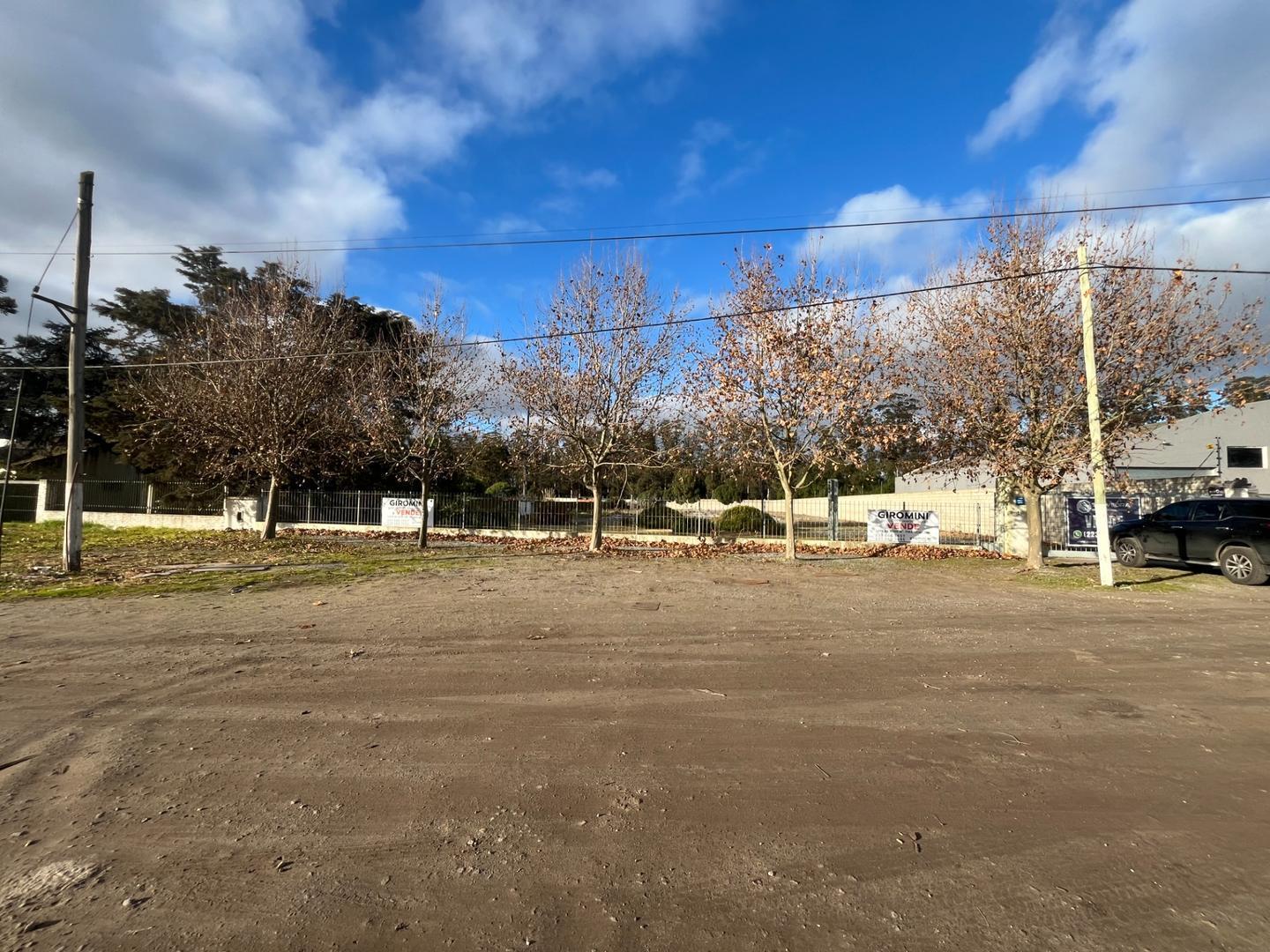 Foto de GRAN FRACCION DE TERRENO SOBRE RUTA 88 km 5,5 MAR DEL PLATA, imagen 3