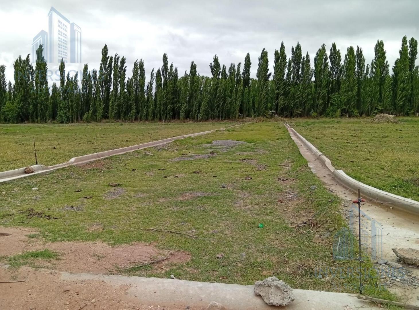 Foto de Oportunidad Terrenos en venta, imagen 5