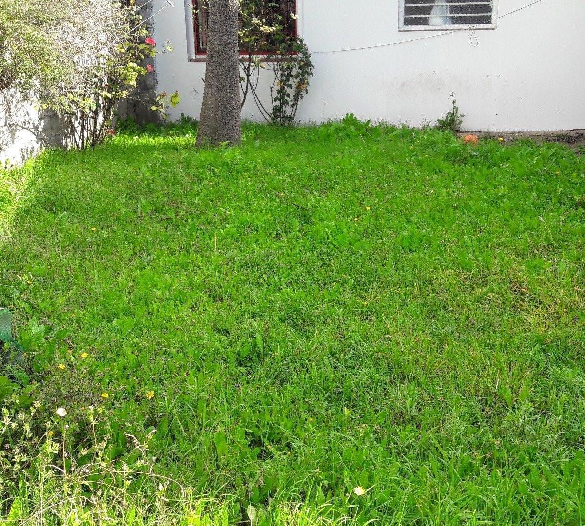 Chalet 4 Ambientes Neuquen 3900 5