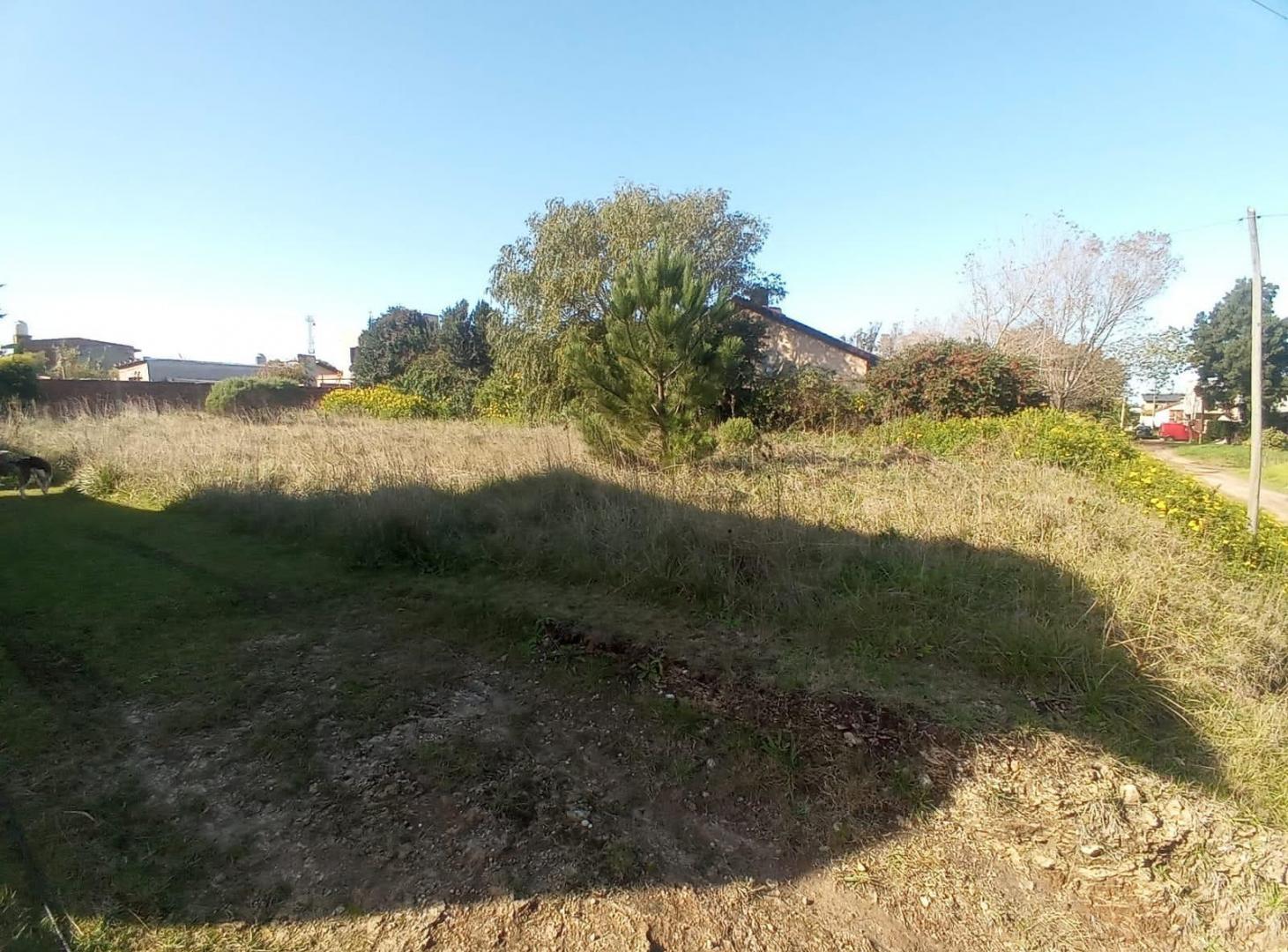 Foto de Lote en Faro Norte, imagen 2