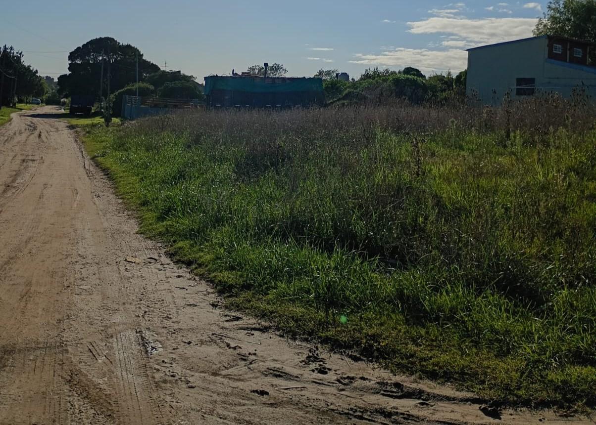Foto de VENTA LOTE DIAGONAL NORTE Y CALLE 6, imagen 5