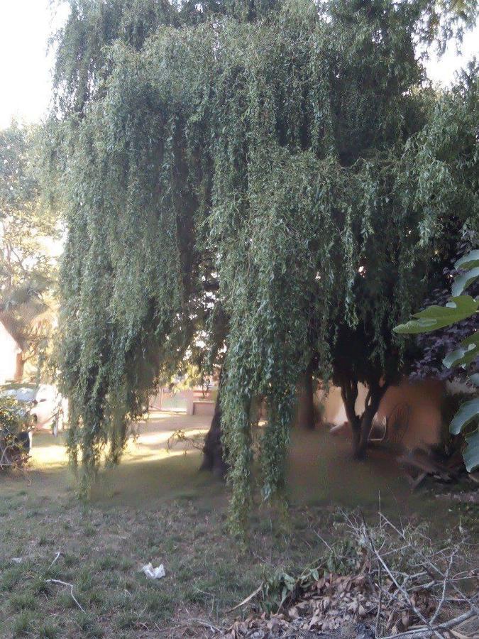 Foto de Complejo de Cabañas en Santa Clara, imagen 3