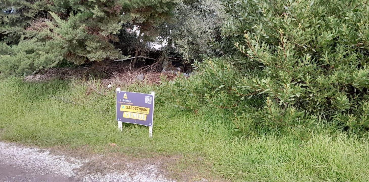 Foto de Terrenos en Venta en Sierra De Los Padres, imagen 1