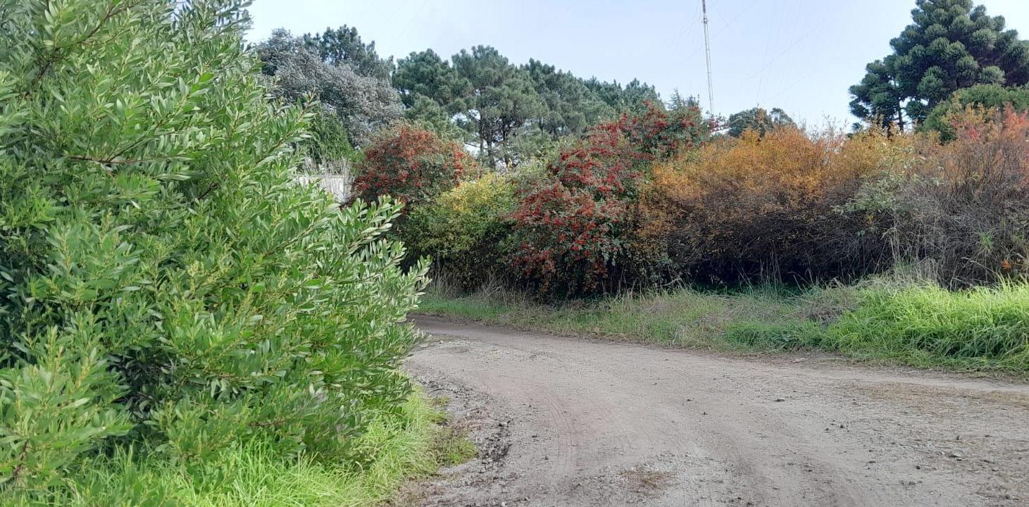 Foto de Terrenos en Venta en Sierra De Los Padres, imagen 2